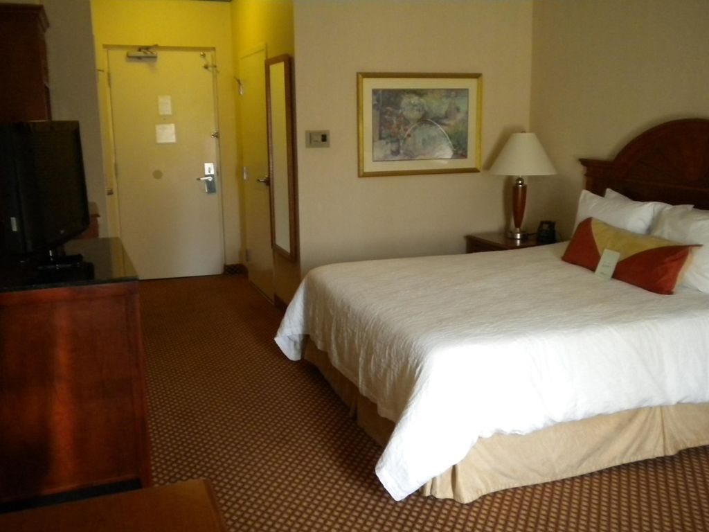 Hilton Garden Inn Philadelphia-Fort Washington Chambre photo